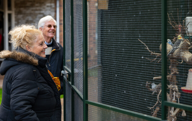 Kippen en vogels verzorgen als vrijwilliger in de zorg bij ActiVite.